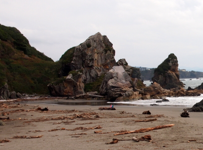 [Low tide view of the beach full of pieces of wood. Large, fractured rock sits in the background of the image with a some ocean water visible to the right.]